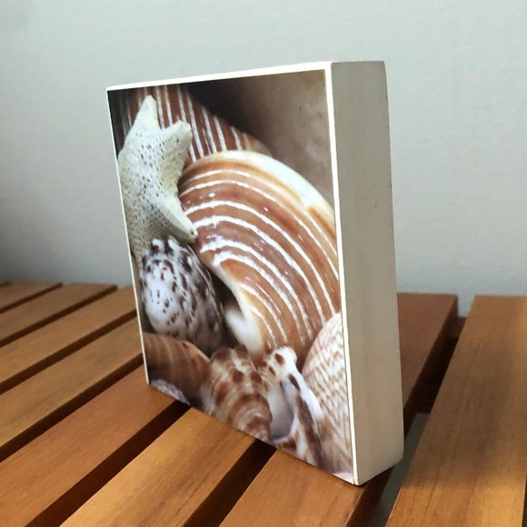 Three 4x4 Seashell Photo Blocks - Picture 3 of 4